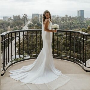 Antiope by Pronovias Wedding Dress & Veil